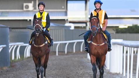 racing nsw replays|Iba pa.